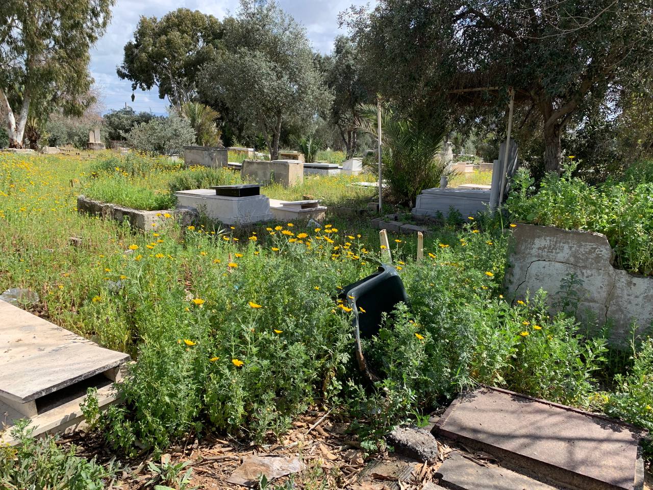 photo1678276195 (2).jpeg